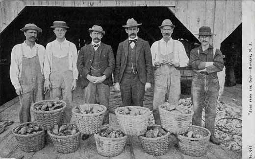 Delaware Bay Oyster Farming